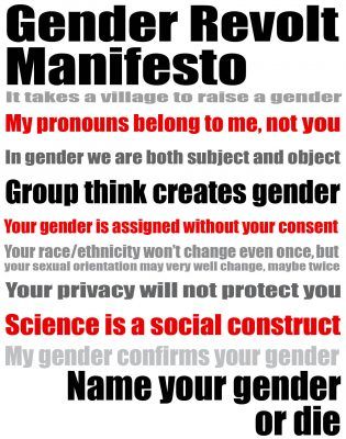 gender revolt manifesto written by Jay Sennett