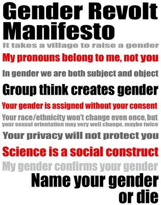 gender revolt manifesto written by Jay Sennett