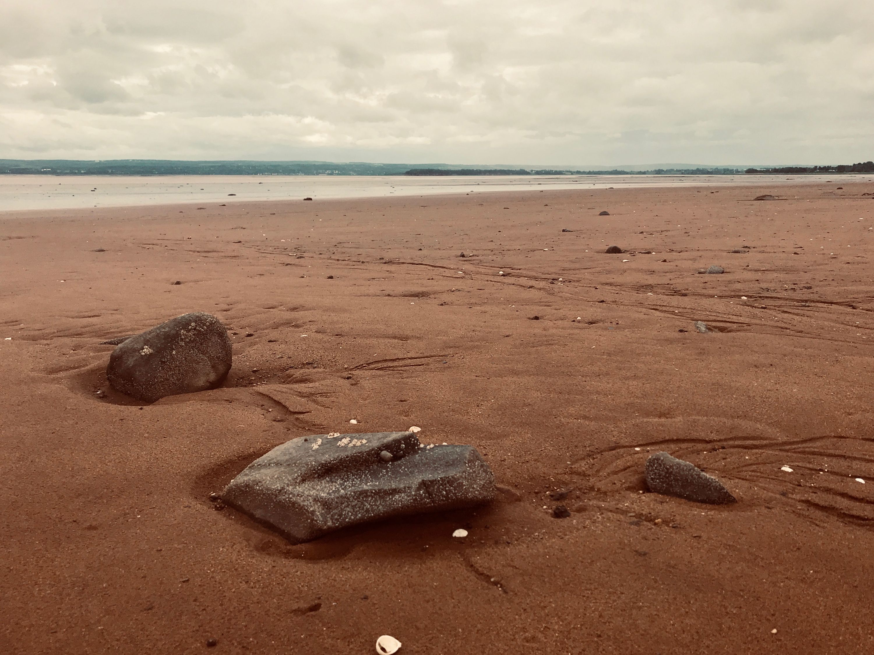 Bay of Fundy, Nova Scotia, Canada